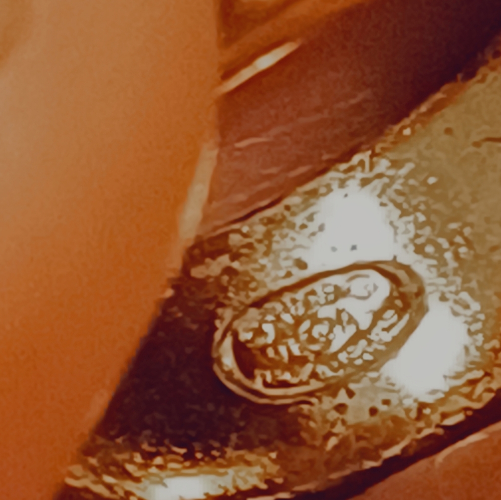 $800 Authentic CHANEL Ring Gold COCO Japan Size US 5,5 6 Made in France EUC rare - Picture 11 of 13